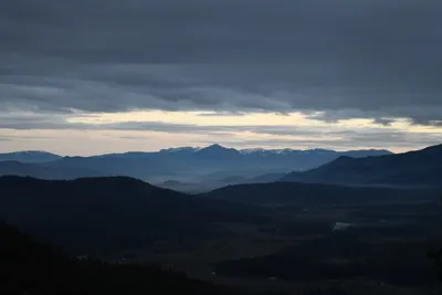 DSC_0146 (Large).JPG